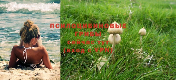 эйфоретик Магадан