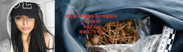 Альфа ПВП Медногорск