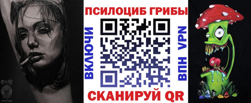Псилоцибиновые грибы мицелий как найти закладки Куйбышев