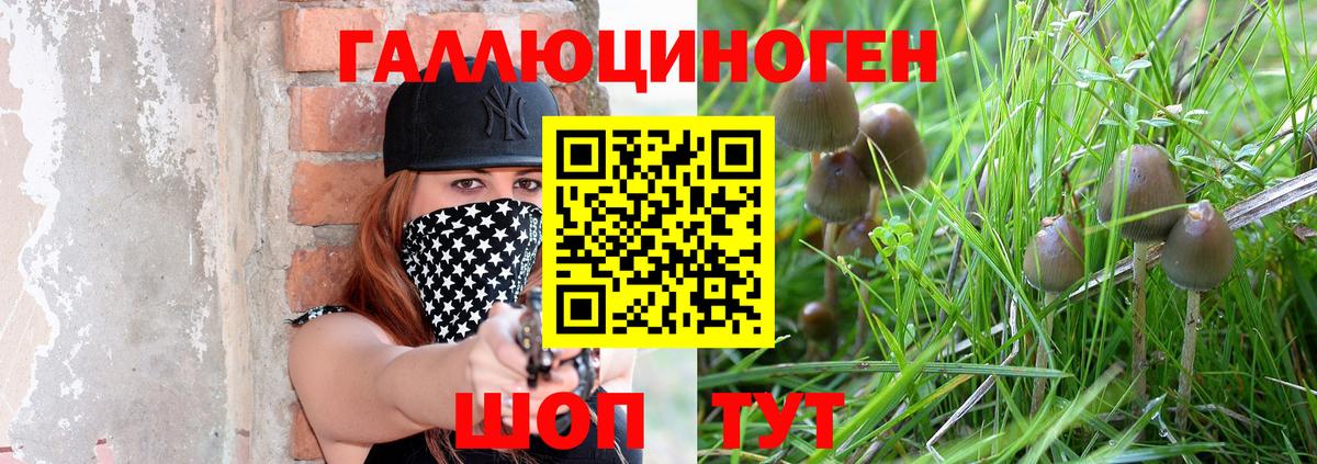 Псилоцибиновые грибы ЛСД  Псилоцибиновые грибы Magic Shrooms  Куйбышев  Вход с VPN 